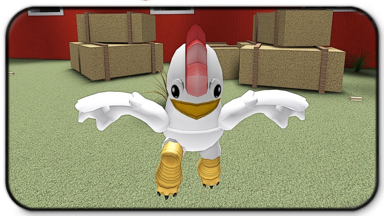 becoming-a-giant-chicken-roblox-chicken-simulator-youtube