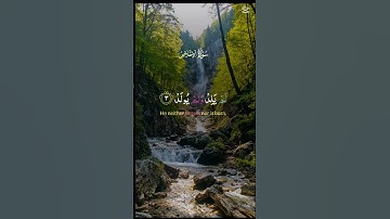 سورة الإخلاص القارئ عبدالباسط عبدالصمد #القرآن #اكسبلور #المصحف #اسلام #لايك