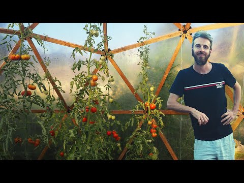French carpenter moved to Moldova to grow his own food