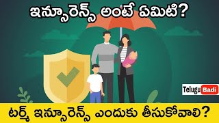 What is Insurance Explained in Telugu | Best Insurance Plans in Telugu | Term Insurance Telugu Badi