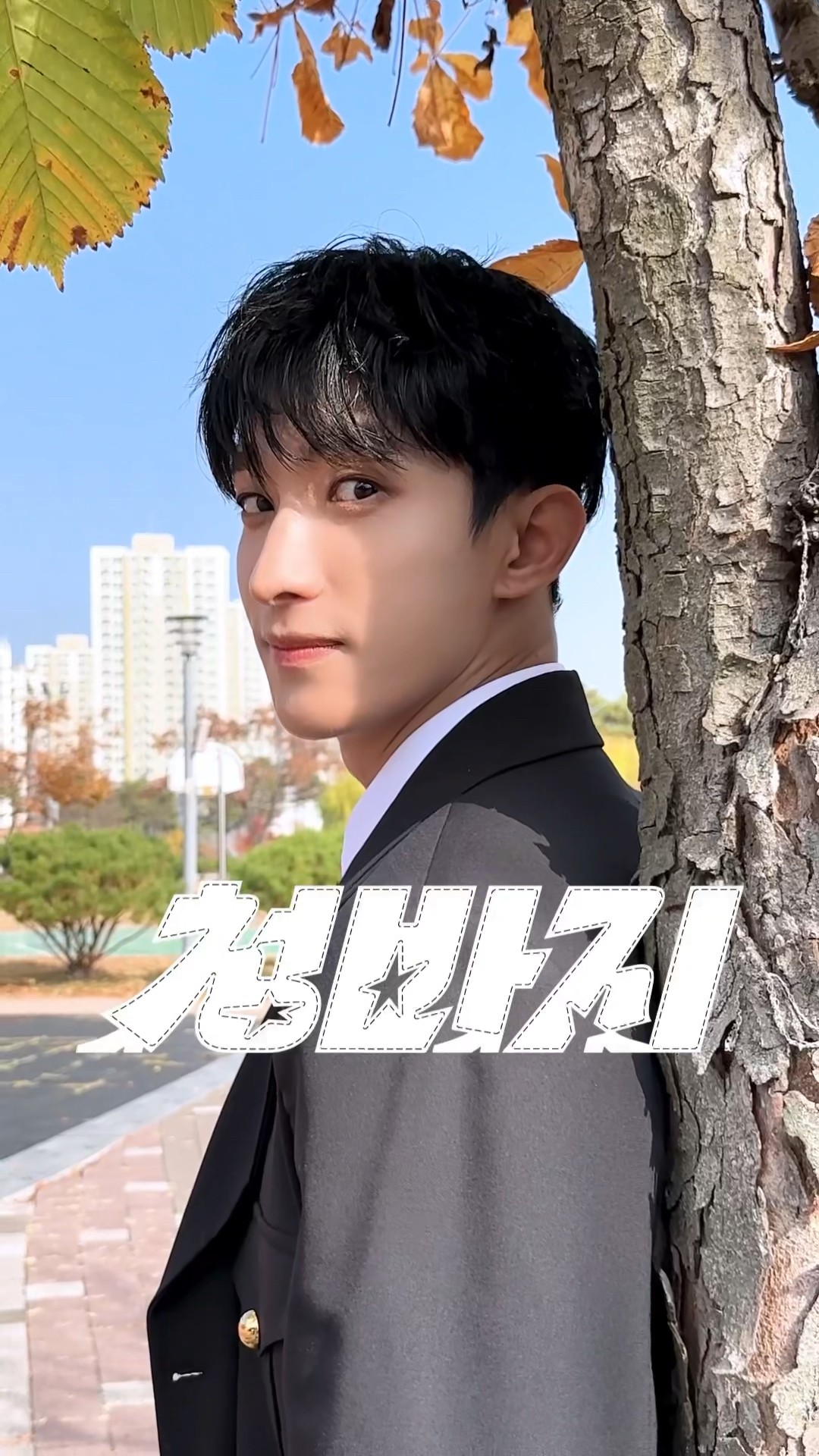 단풍처럼 아름다운 여러분의 청춘을 응원합니다!? #부석순 #BSS #BSS_TELEPARTY #부석순_청바지 #BSS_CBZ #DK #도겸