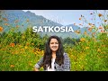 Satkosia odisha  hidden gem of india  satkosia tour plan  bhubaneshwar to satkosia road trip