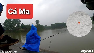 Câu Lục | Trời Mưa Gió Cá Đè Như Ma Làm - Giật Cháy Nách