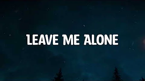 Logan Michael - Leave Me Alone  ( Music Video Lyrics )