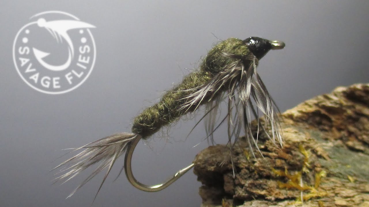 Fly Tying for Beginners - an AP Stonefly Nymph 