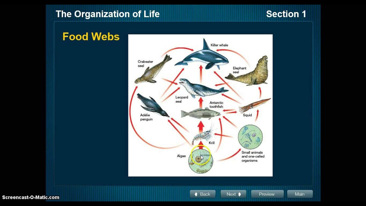 Biotic Factors Video Notes - YouTube
