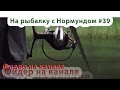 Фидер на канале 2 : На рыбалку с Нормундом #39