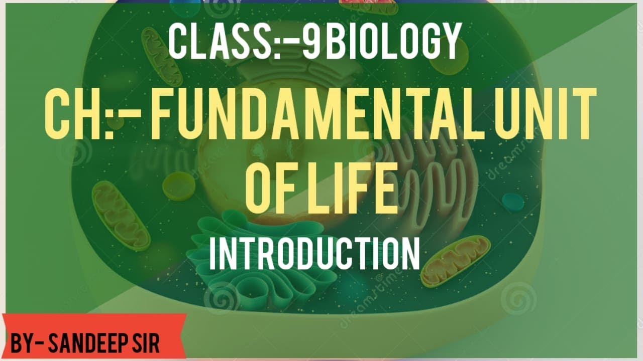 Fundamental Unit of LIFE part 1 YouTube
