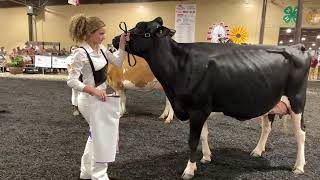 4-H/FFA Dairy Show
