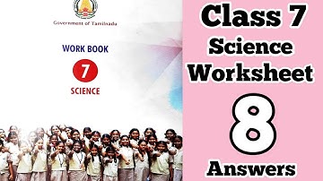 7th Standard Science Bridge Course Worksheet-8 Answers