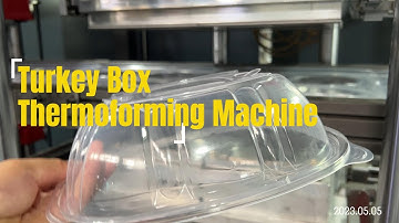 HYX-7185 Four Stations Thermoforming Machine for Fried Chicken Turkey Box