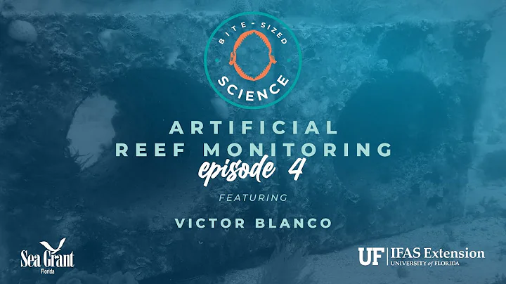 Bite-sized Science: Artificial Reef Monitoring