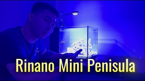 Thiết Lập Bể Cá Biển Rinano Mini Peninsula | Setup Bể Nano Đẹp Mê Ly