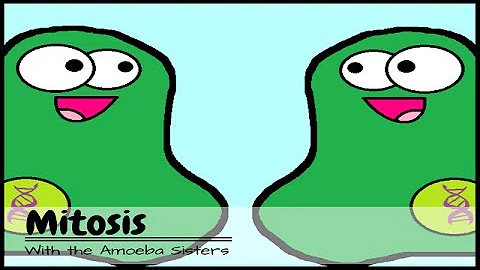 (OLD VIDEO) Mitosis: The Amazing Cell Process that Uses Division to Multiply!