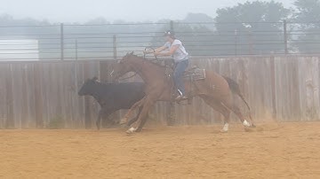 Rios Cat - Reined Cowhorse - ValleyViewRanch.net
