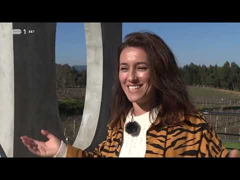 Vinho Verde no Feminino