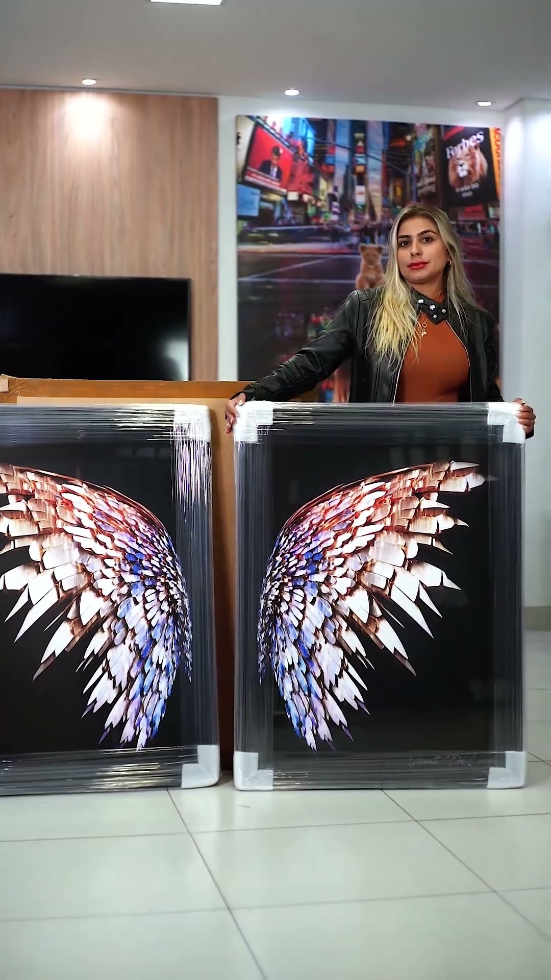 Vídeo de Quadro Asas Preciosas 2 Peças