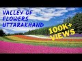 Valley of Flower: Uttarakhand 2019 Heaven on Earth