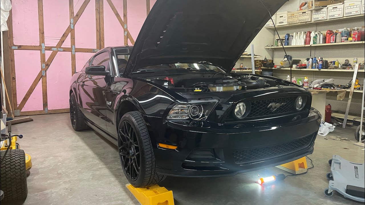 BEST UNDERGLOW FOR YOUR MUSTANG?! Installing Underglow on my 2014