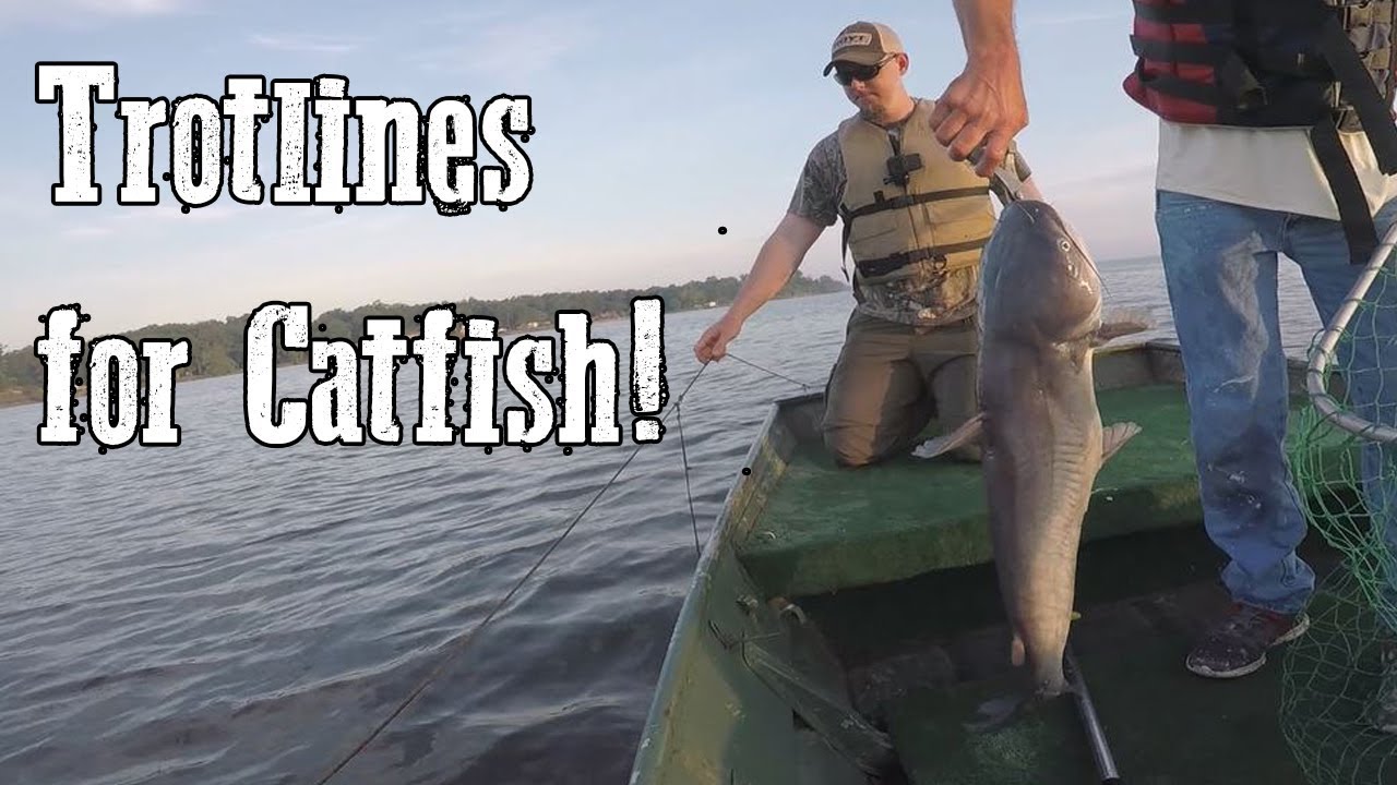 Trotline Fishing for Catfish - Toledo Bend Trip 7.5.18 