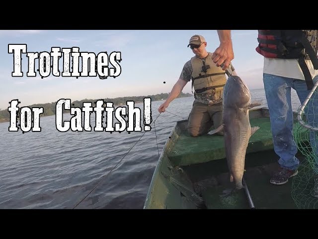 Trotline Fishing for Catfish - Toledo Bend Trip 7.5.18 