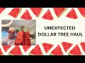 HUGE UNEXPECTED DOLLAR TREE HAUL &amp; QUICK GOODWILL SHARE 