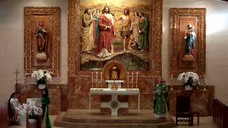 St. John the Baptist, Costa Mesa - Holy Mass - Vietnamese-17th Sunday in Ordinary Time - Jul