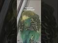 ne olursa olsun sana hiç darılmayacak olan o kişi (muhabbet kuşu) #komik #komedi #mizah