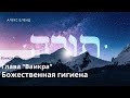 Недельная глава Ваикра. Божественная гигиена. Ваикра 4