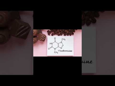 فيديو: أي شاي يحتوي على الثيوبرومين؟