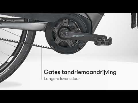 Pegasus Ravenna EVO 5 Belt - YouTube