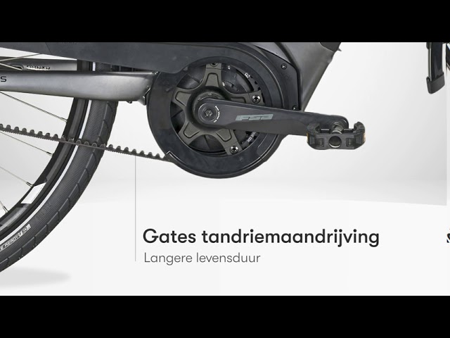 Pegasus Ravenna EVO 5 Belt - YouTube