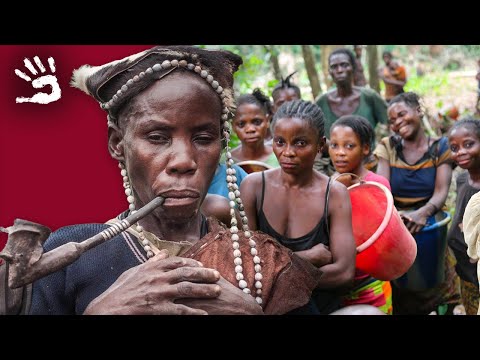 Les deux mondes des pygmées - Chasseur-cueilleur - Minorité en danger - Documentaire - HD - AMP