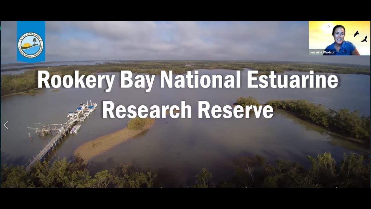 ⁣Naples Native Plants September Meeting and Presentation with Rookery Bay National Estuarine Research