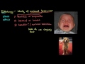 Ethology The Study of Animal Behavior and Responses to Stimuli