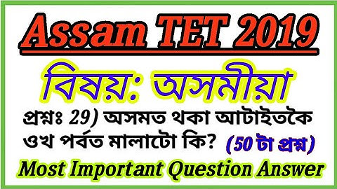 Assam TET Assamese Most Tmportant Question Paper 2019// By Job Advertisement.