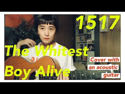 The Whitest Boy Alive 1517 【ギター弾き語り/ Sing with a guitar】【カバー】【アコースティック】