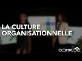 Complexe x  la culture organisationnelle