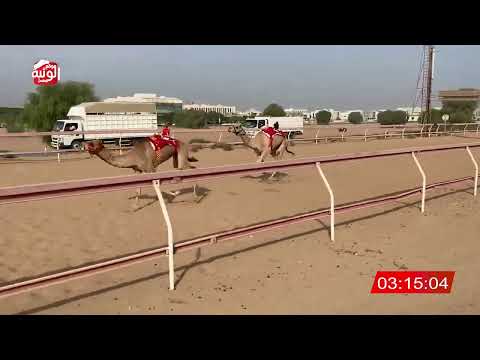 الشوط 15 مذهل ل حميد حمد علي خميس العمري 6 21 19 شارة الديوان 2025 10 6 لقايا التله