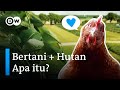 Agroforestri: Solusi Paling Jitu Sukses Bertani? | #PlanetA