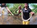 Survival skills: Catch A big snake in River for Food- big snake Soup spicy Taste delicious for Lunch