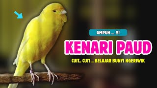KENARI Paud !!! Pancingan KENARI PAUD Belajar Bunyi Cocok Untuk Kenari Belajar Bunyi Ngeriwik |598