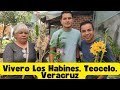 Video de Teocelo