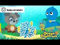 The Colors of Coral! | Coral Reefs Day 🪸🐠 | Baby Einstein | Toddlers Ocean Show | Kids Education