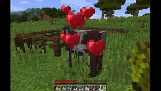 Minecraft How to Breed Animals (What FOODS they like to eat to breed)