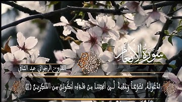 ما تيسر من سورة الأنعام بصوت القارئ عبد الشافي الرجواني