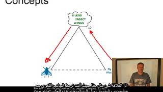 Introduction - word semantics