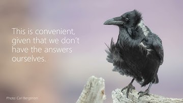 Carl Bergstrom | Knowledge Festival | Sept. 17th, 2025