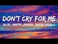 Alok, Martin Jensen, Jason Derulo - Don't Cry For Me (Lyrics)