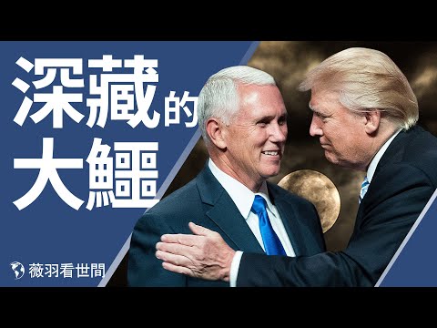 他是谦谦君子,还是深沼大鳄?为什么蓬佩奥的推文里没有他?老布什的葬礼上,他也收到小纸条;真实的彭斯颠覆你的三观?